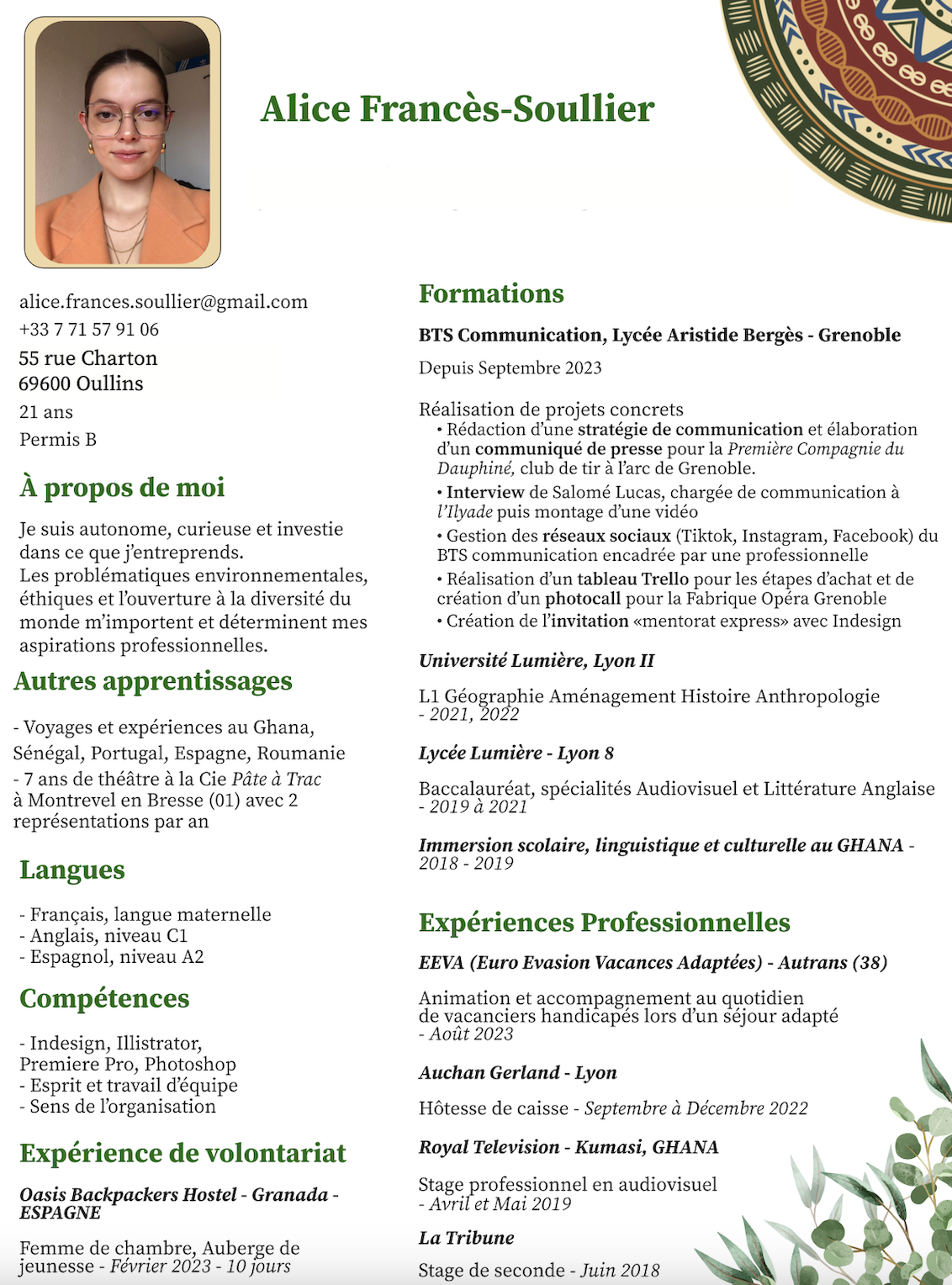 CV de Alice Francès-Soullier